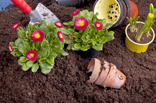Gardener carrying out a health and safety check in a garden