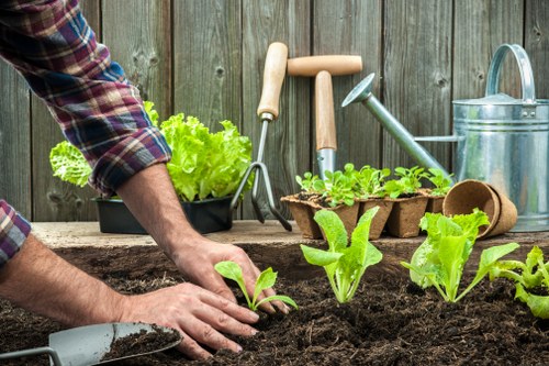 Gardening services in Yiewsley for tidy lawns and well-kept outdoor spaces