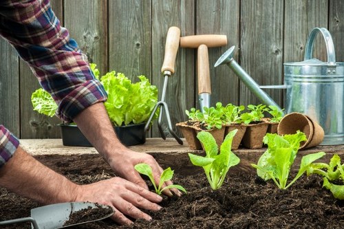 Illustration of a gardening complaint being reviewed professionally