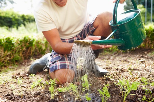 Gardeners Yiewsley introduction with outdoor landscape care