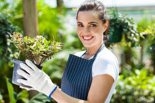 Hedge trimming and pruning services for Yiewsley gardens
