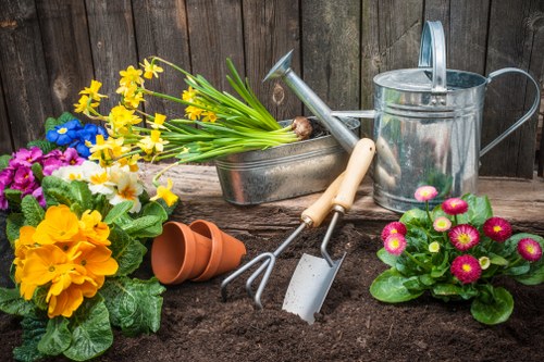 Professional garden maintenance in Yiewsley with healthy borders