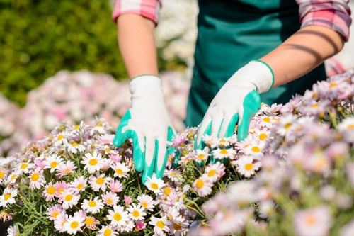 Reporting channels and worker protection at Gardeners Yiewsley