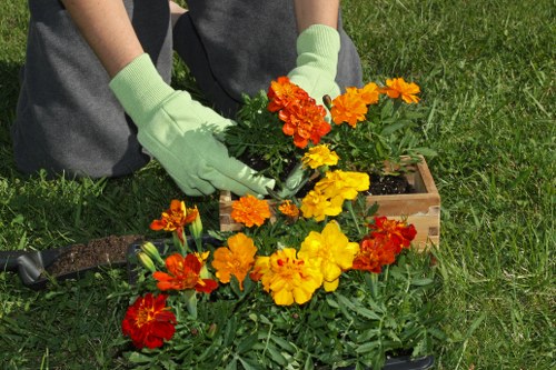 Payment and cancellation terms for garden services