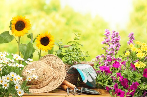Professional garden maintenance in Yiewsley including hedges and planting