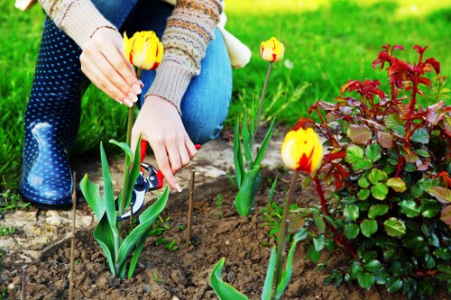 Lawn care and grass maintenance services in Yiewsley