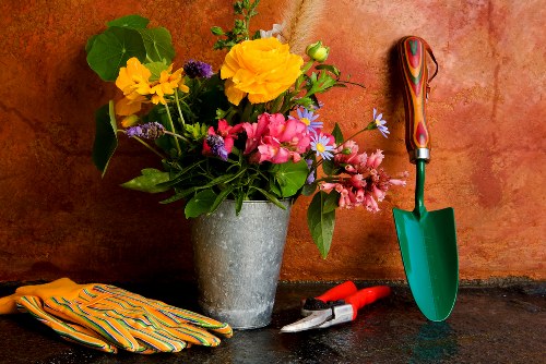 Charity reuse partnership for garden materials and items