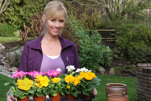 Supplier audit process for Yiewsley gardeners