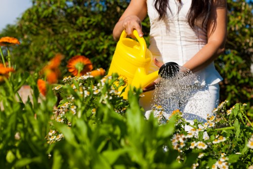 Professional grass cutting service in a Yiewsley garden
