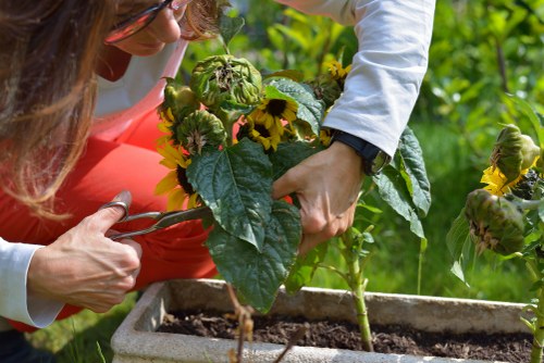 Local gardening service values in Yiewsley