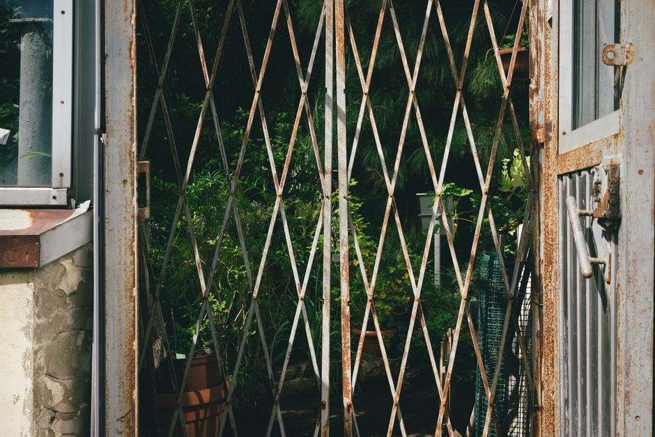 A woman in a wheelchair tending to a garden outside a brick residential building, watering vibrant flowering plants with a garden hose. The garden features a variety of lush green foliage, including t
